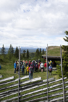Stølsvandring 250626 Foto Thor Brødreskift 4