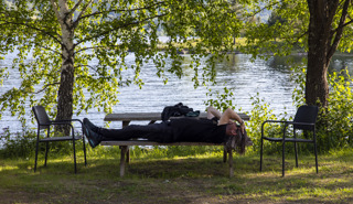 Natur, mann på benk, ute, Gudbrand