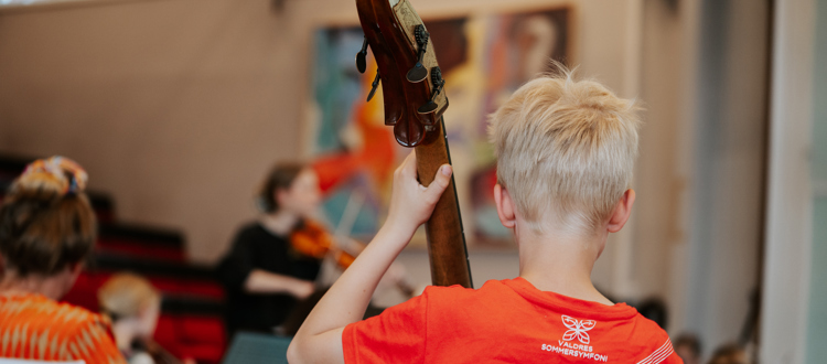 Sveinung Hoel Bjorå 01475