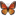 🦋