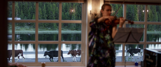 romantisk lunsjkonsert 19.juni