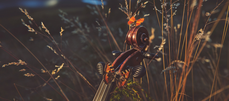 Valdres Sommersymfoni Klassisk Musikk