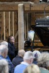 Griegs Musikk Til Peer Gynt 7