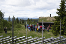 Stølsvandring 250626 Foto Thor Brødreskift 5