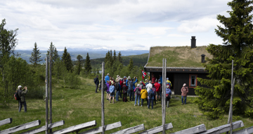 Stølsvandring 250626 Foto Thor Brødreskift 5