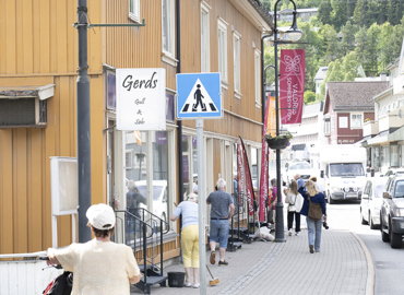 Valdres Kunstforening Bergergården