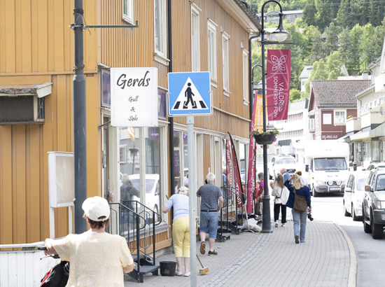 Valdres Kunstforening Bergergården