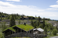 Ballade På Kongsgaarden Foto Thor Brødreskift 3
