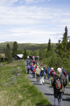 Stølsvandring 250626 Foto Thor Brødreskift 3